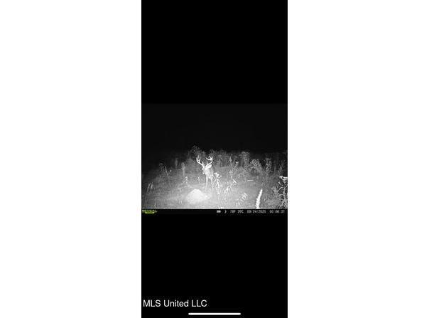 Highway 12, Tchula, MS 39169