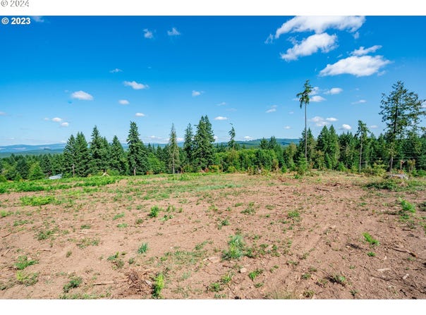 S Silver Lake Rd, CastleRock, WA 98611