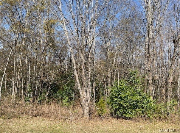 4 SULLIVANS Trace, Montgomery, AL 36105