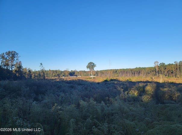 Haralson Lane, Forest, MS 39074