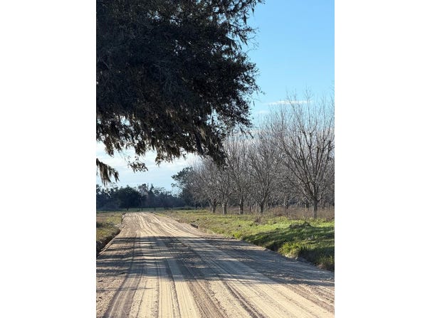 Carter Road, Naylor, GA 31641