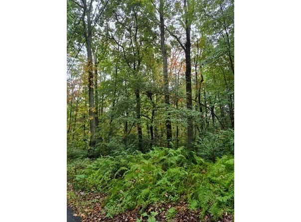 Blackmer Rd, Southbridge, MA 01550