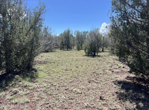 4519 N Centerline Boulevard, Ash Fork, AZ 86046