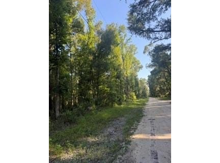 NE 667th St, Old Town, FL 32680