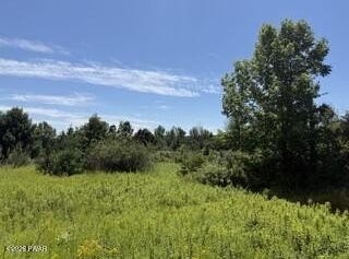 Kellows Road, Honesdale, PA 18431