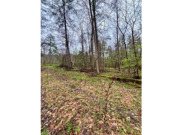 2093 Scott Road, Lindley, NY 14858