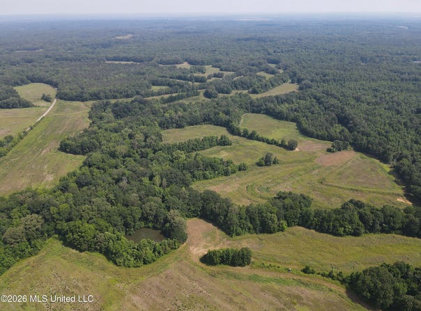 Old Port Gibson Road, Utica, MS 39175