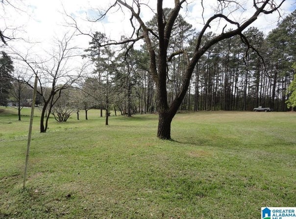 1624 LAKE DRIVE lot: 1, CENTER POINT, AL 35215