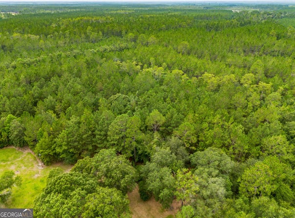 Morgan Road, Waycross, GA 31503