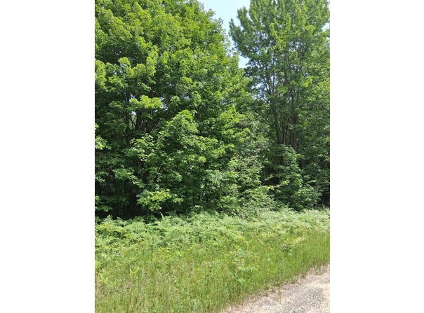 Crestwood Drive lot: 569, Mancelona, MI 49659