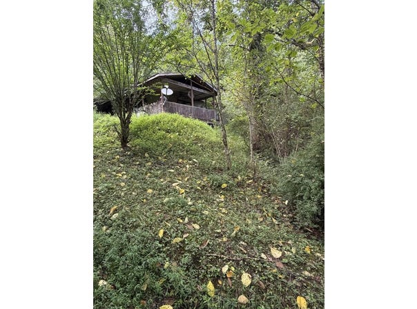 226 Madison's Fork, Banner, KY 41603