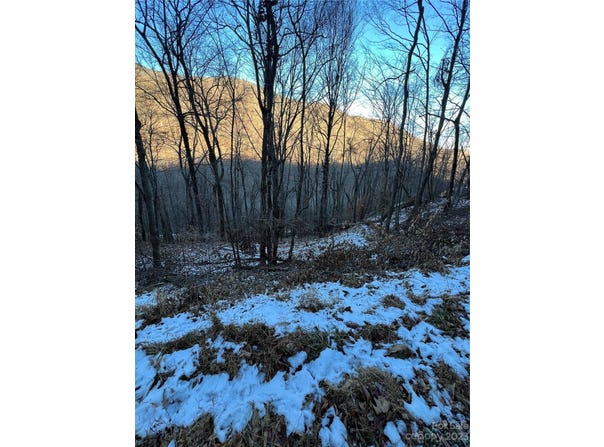Puncheon Lane, Mars Hill, NC 28754