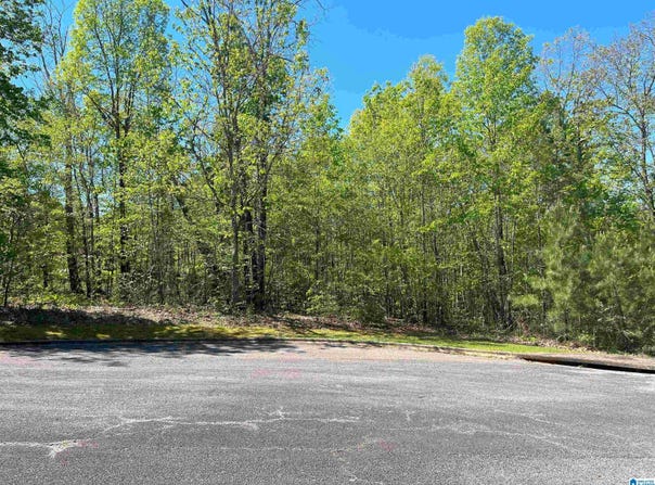 KATY CIRCLE lot: 24, SPRINGVILLE, AL 35146