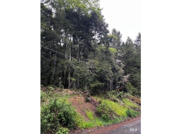 24403 Cypress Drive, Willits, CA 95490
