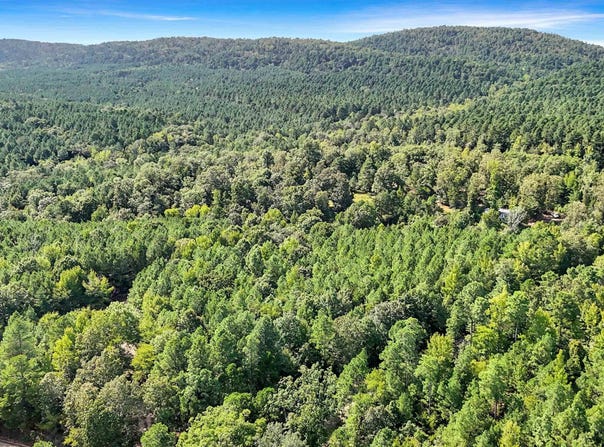 14 AC CHICOT Trail, Bismarck, AR 71929