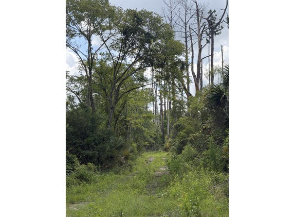Calhoun St., Perry, FL 32348