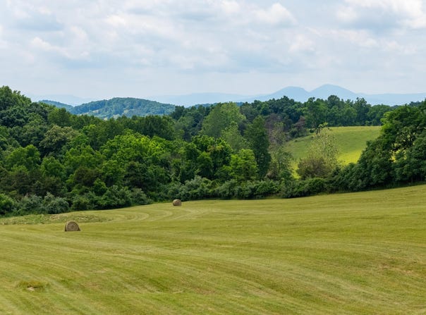 25 KOOGLER TRL, RAPHINE, VA 24472