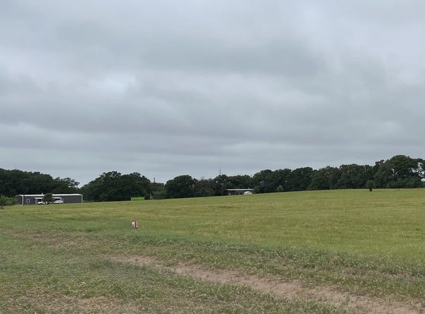 9459 Private Road 6907, Eustace, TX 75124