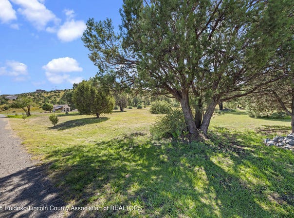 L241 Saddleback Road lot: 241, Alto, NM 88312