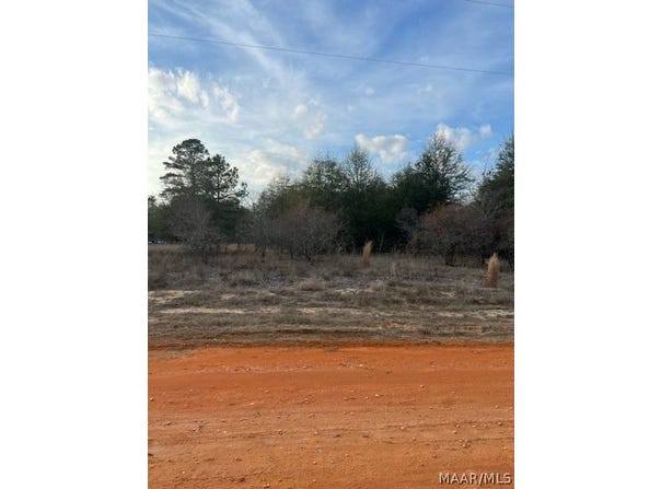Deer Loop lot: 44, Camden, AL 36726