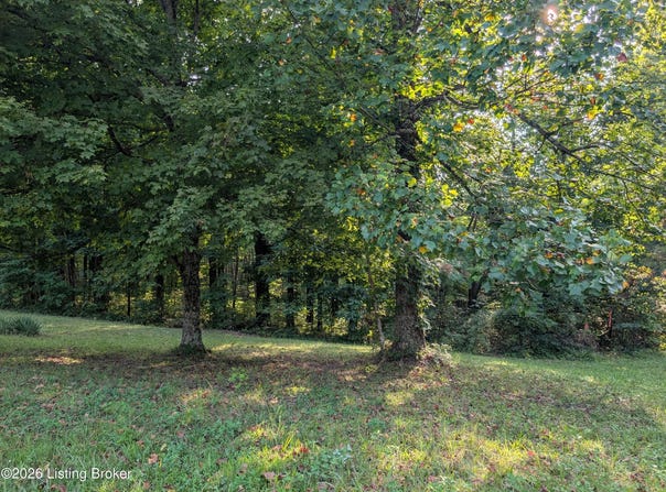 300+ Hackney Ln, Bedford, KY 40006