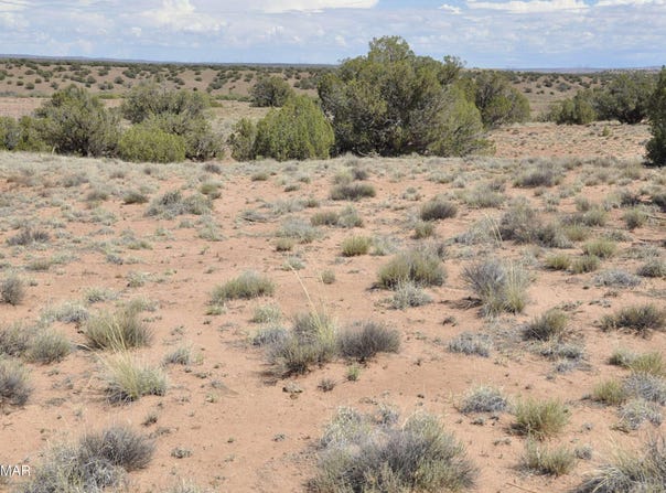19C & D County Rd N9033, Concho, AZ 85924