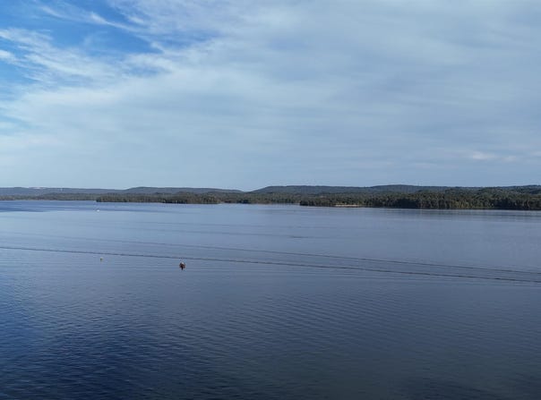 38 Pine Island Point, Scottsboro, AL 35968
