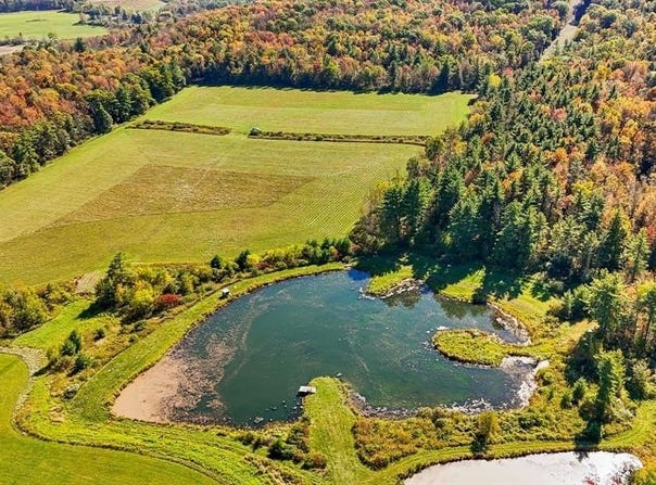 Waits Road, OWEGO, NY 13827