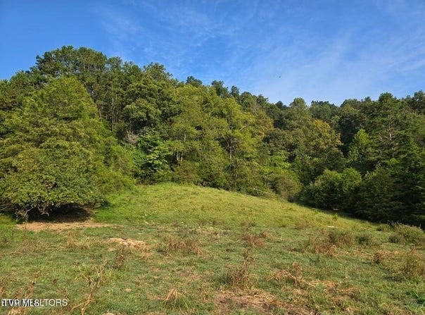 E Pumpkin Valley Road, Eidson, TN 37731