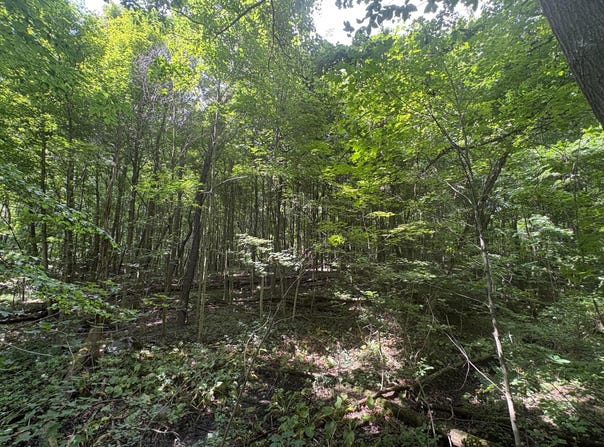 3645 Township Rd 161, Marengo, OH 43334