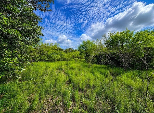 Water Oak Road, Columbus, TX 78934