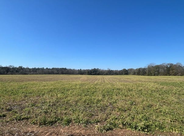 31.5+-ac Rammer Loop Rd, Cottonwood, AL 36301