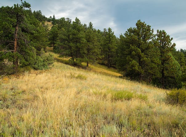 75 Sugarloaf Rd, Boulder, CO 80302