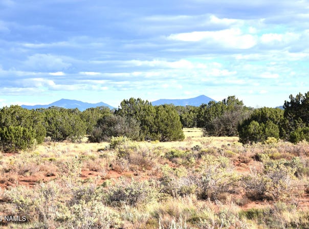 Santa Clara Road, Williams, AZ 86046