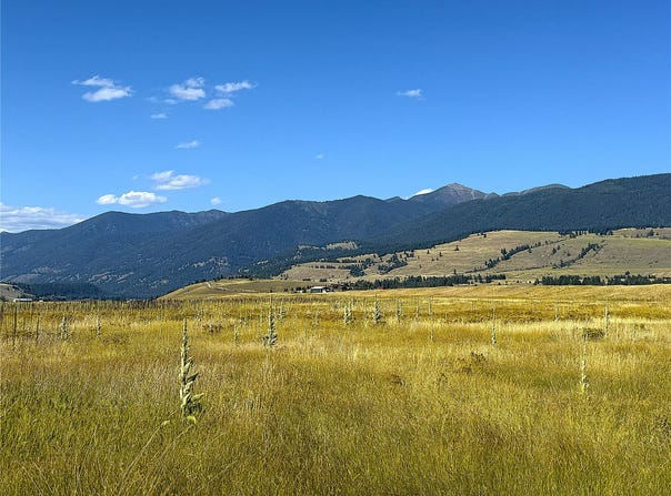 788 Velvet Grove, Eureka, MT 59917