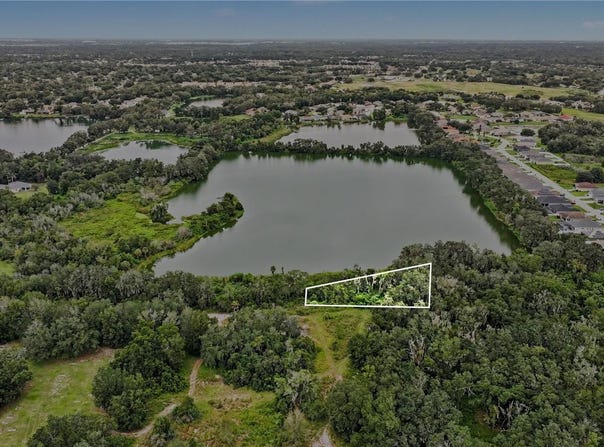 ARNAZ Drive, MULBERRY, FL 33860