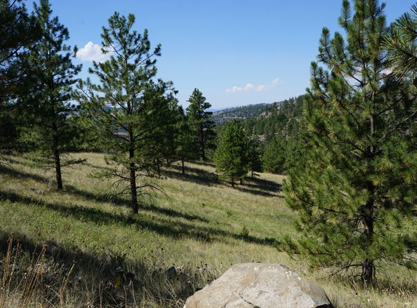 TBD Ridge Crest Ln, Cascade, MT 59421
