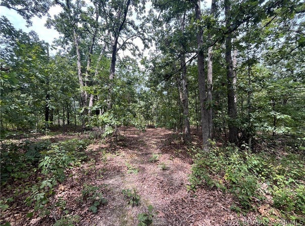 Partridge, Climax Springs, MO 65324