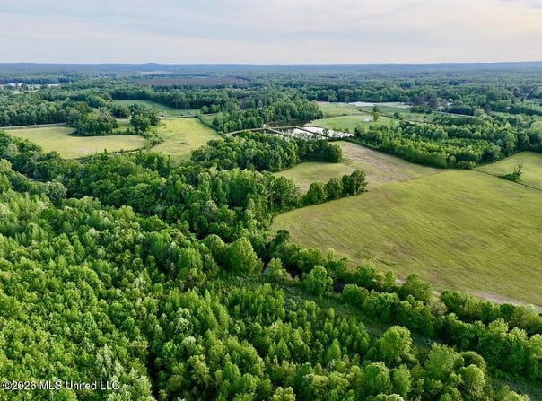 00001 County Road 204, Tiplersville, MS 38674