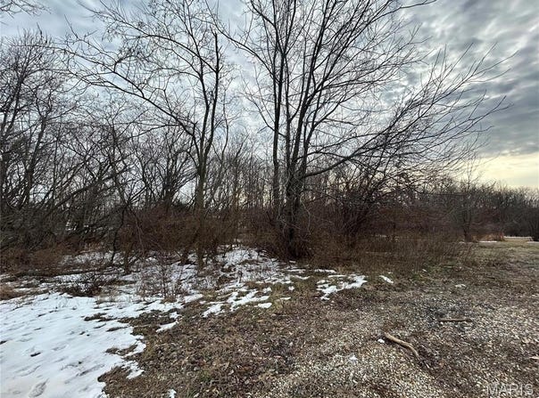 19580 Hillcrest DR, Carlyle, IL 62231