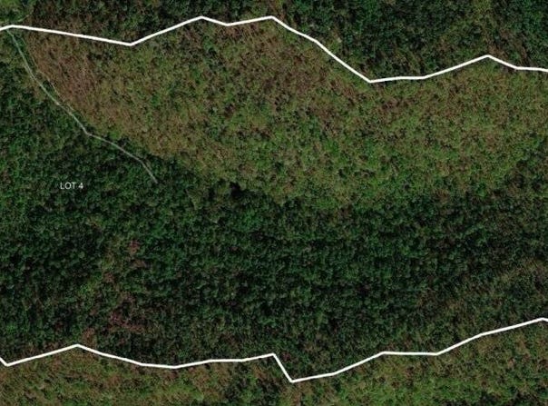 Easter Hollow Road, Ridgeview, WV 25169