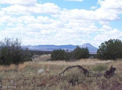 996 W Couchman's Trail, Ash Fork, AZ 86320