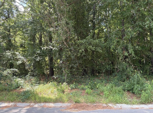 308 E Poplar Branch Drive, Moncks Corner, SC 29461