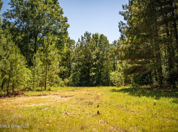1203 Love Street, Brookhaven, MS 39601
