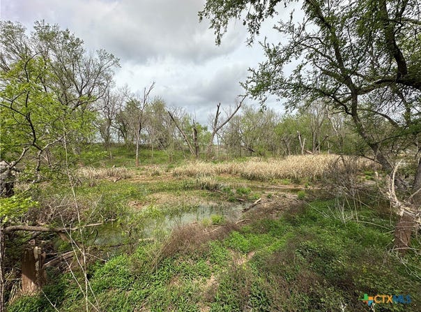 909 FM 712, Marlin, TX 76661