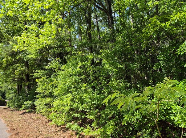 Duncan Dr., Thomasville, AL 36784