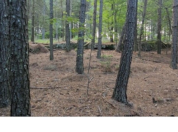 High Point Lane, Jasper, TN 37347
