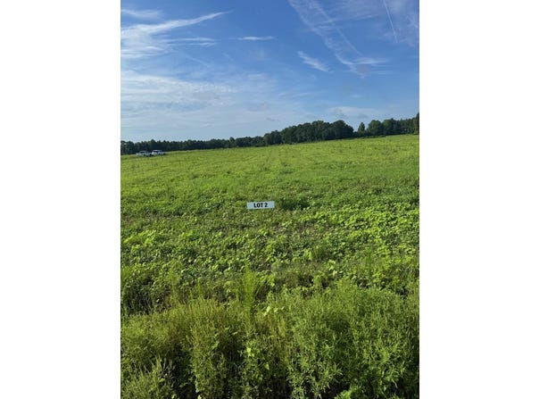 2100-2 York Rd, Green Sea, SC 29545