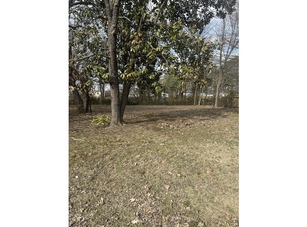 Brooks Street, PARIS, TN 38242