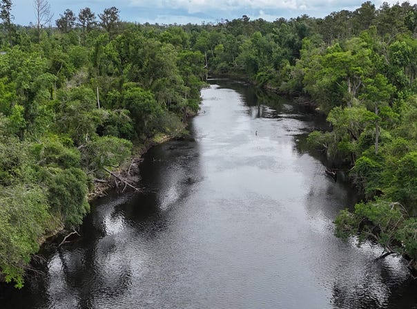 NE Chervil Drive, Lee, FL 32059
